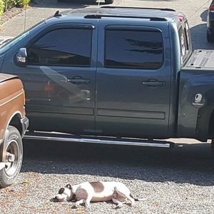 Meet your Posher, Tyler